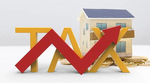 國家稅務總局推出10項稅收服務措施，助力長三角一體化高質量發展